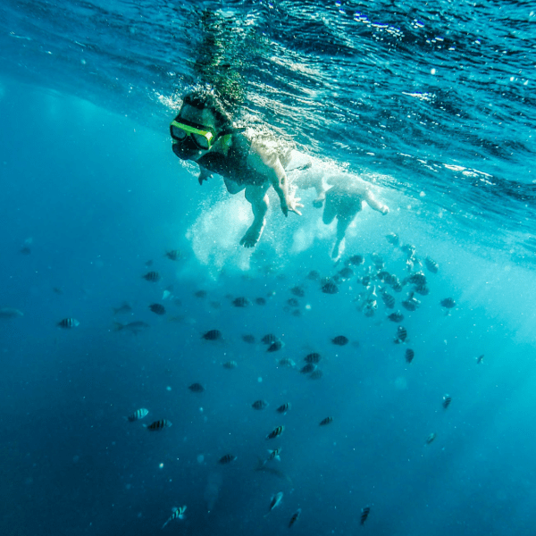 a person swimming in a body of water