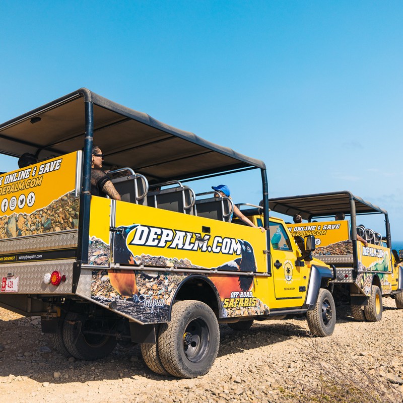 de palm tours jeep tours in arikok national park