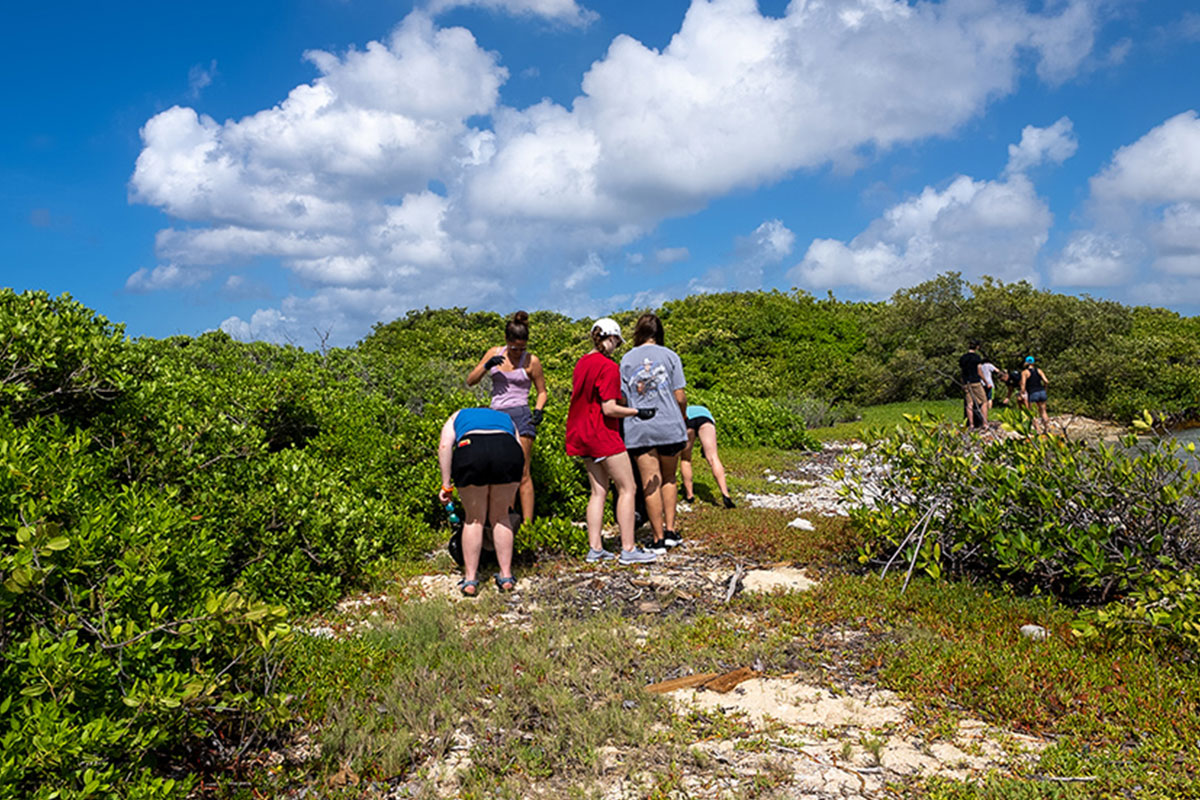 Beach Clean Up