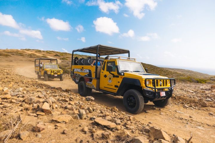 De Palm Tours Aruba