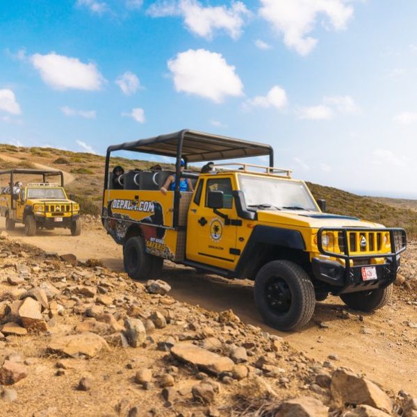 De Palm Tours Aruba