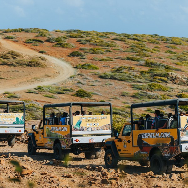 de palm tours safari off road 1
